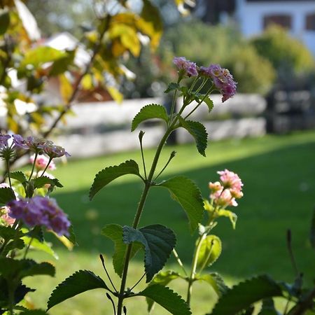 Pension Willibald Hotel Bad Tolz Exterior photo