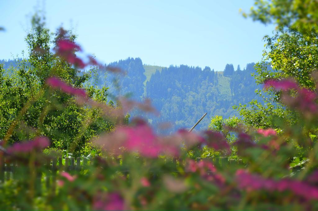 Pension Willibald Hotel Bad Tolz Exterior photo