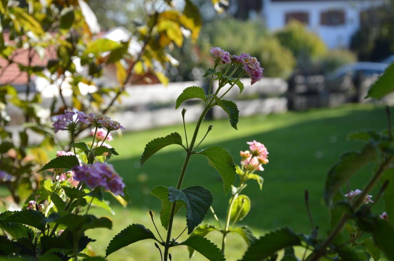 Pension Willibald Hotel Bad Tolz Exterior photo